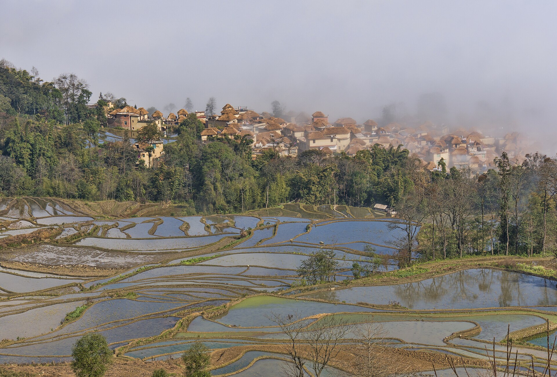Yuanyang rice terraces water reflection