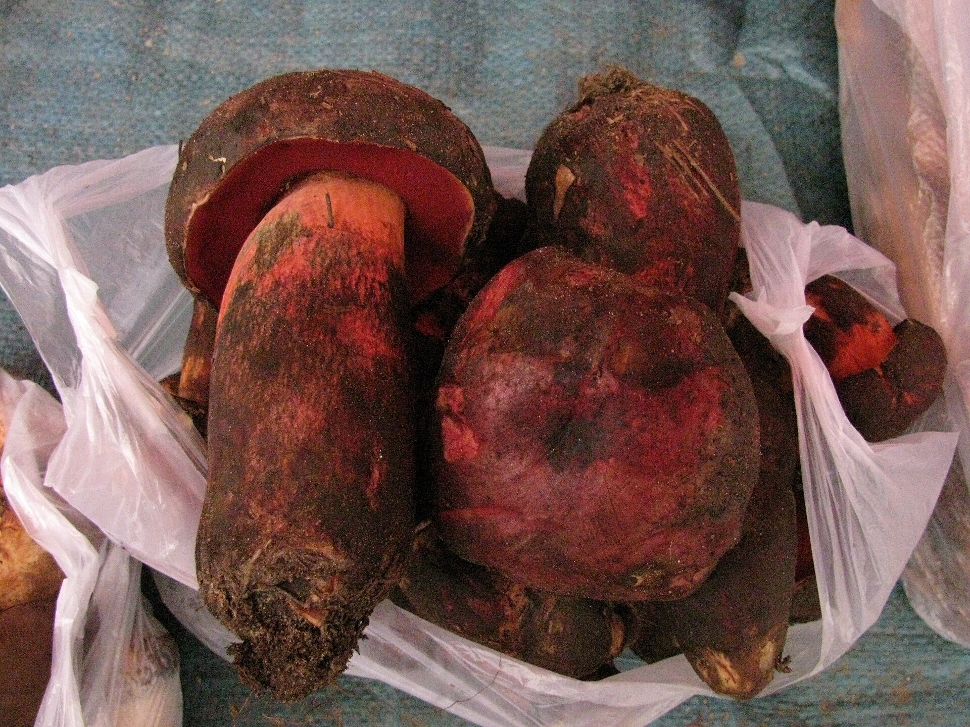 wild mushroom market Yunnan