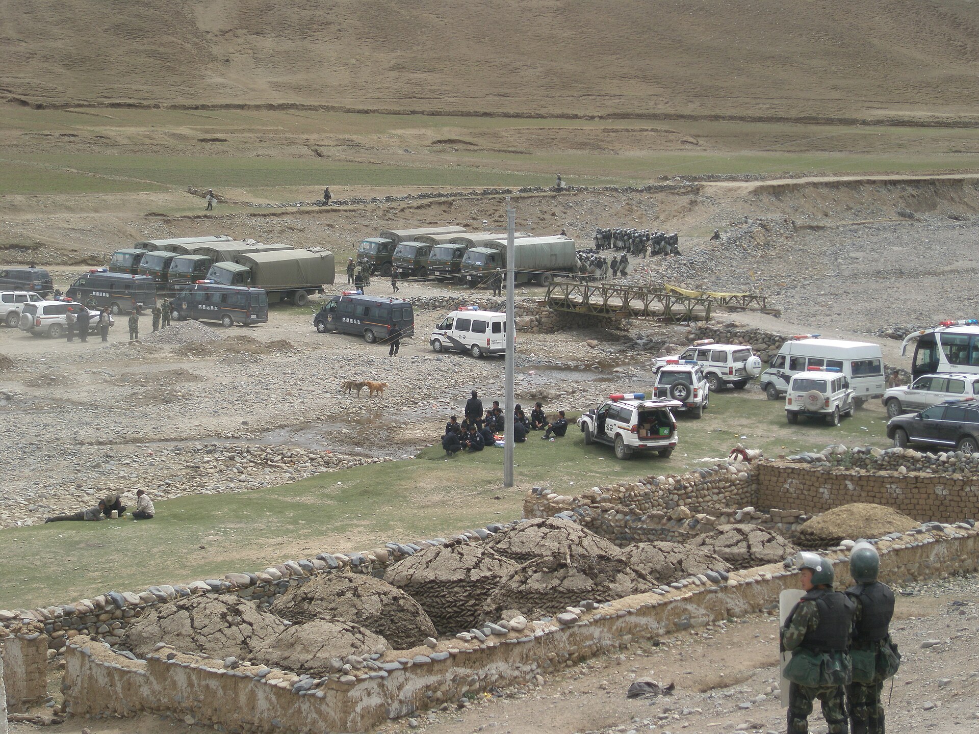 Tibetan grassland yak Yunnan