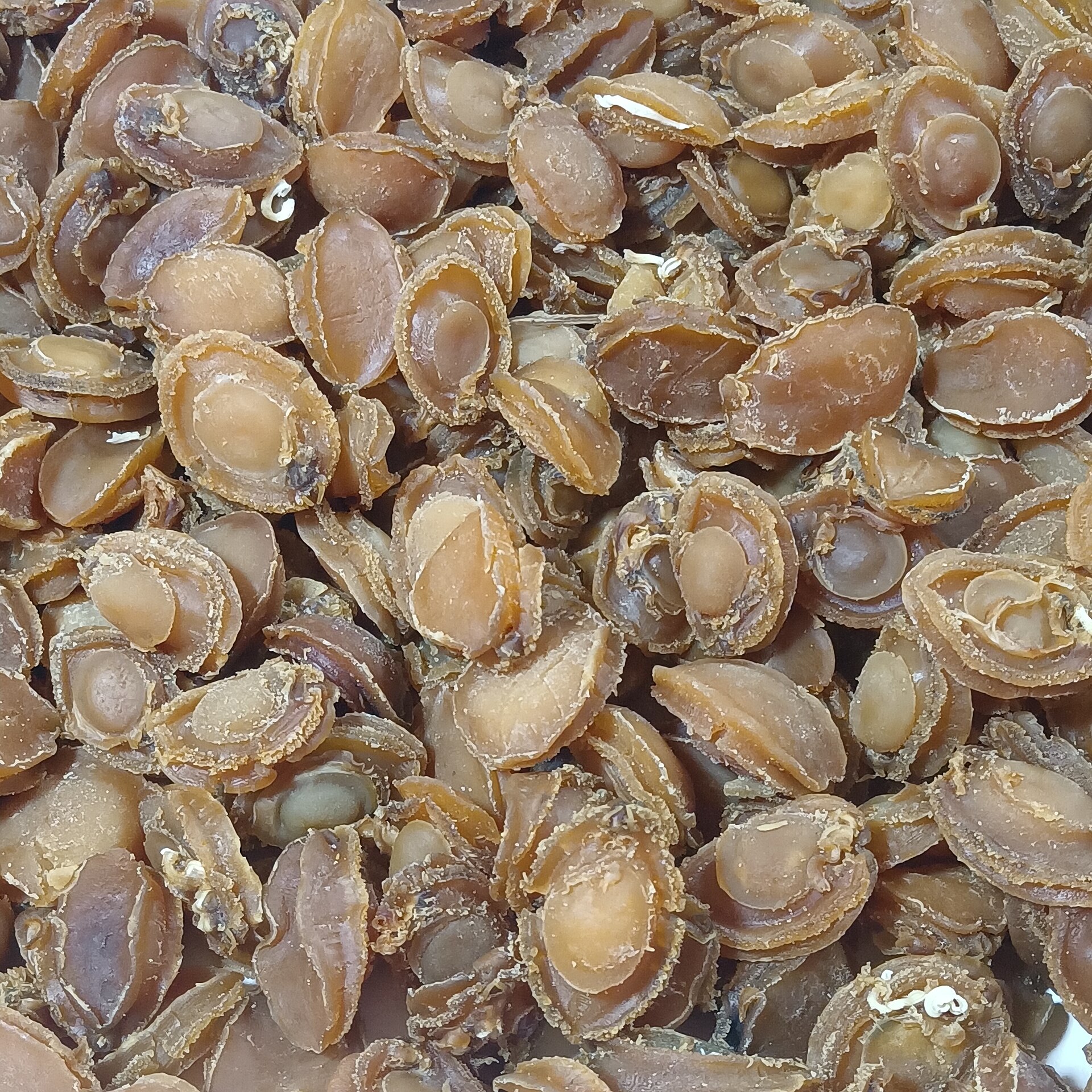 Dalian seafood market China