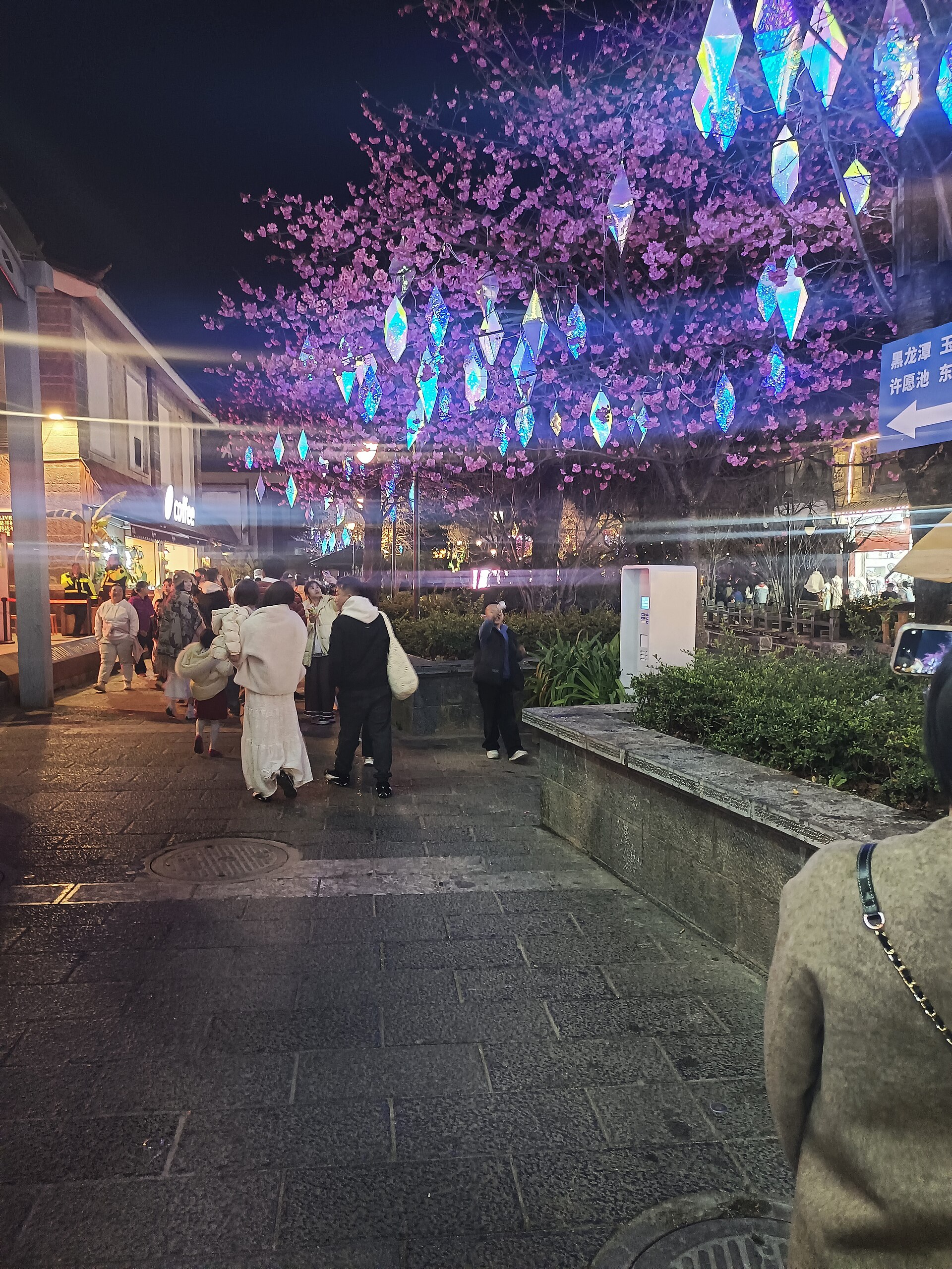 Lijiang street scene