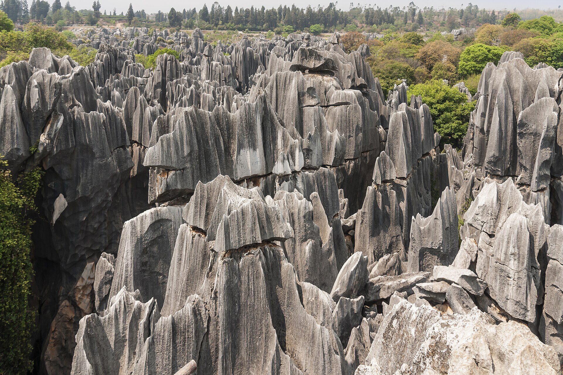 Stone Forest Shilin Yunnan