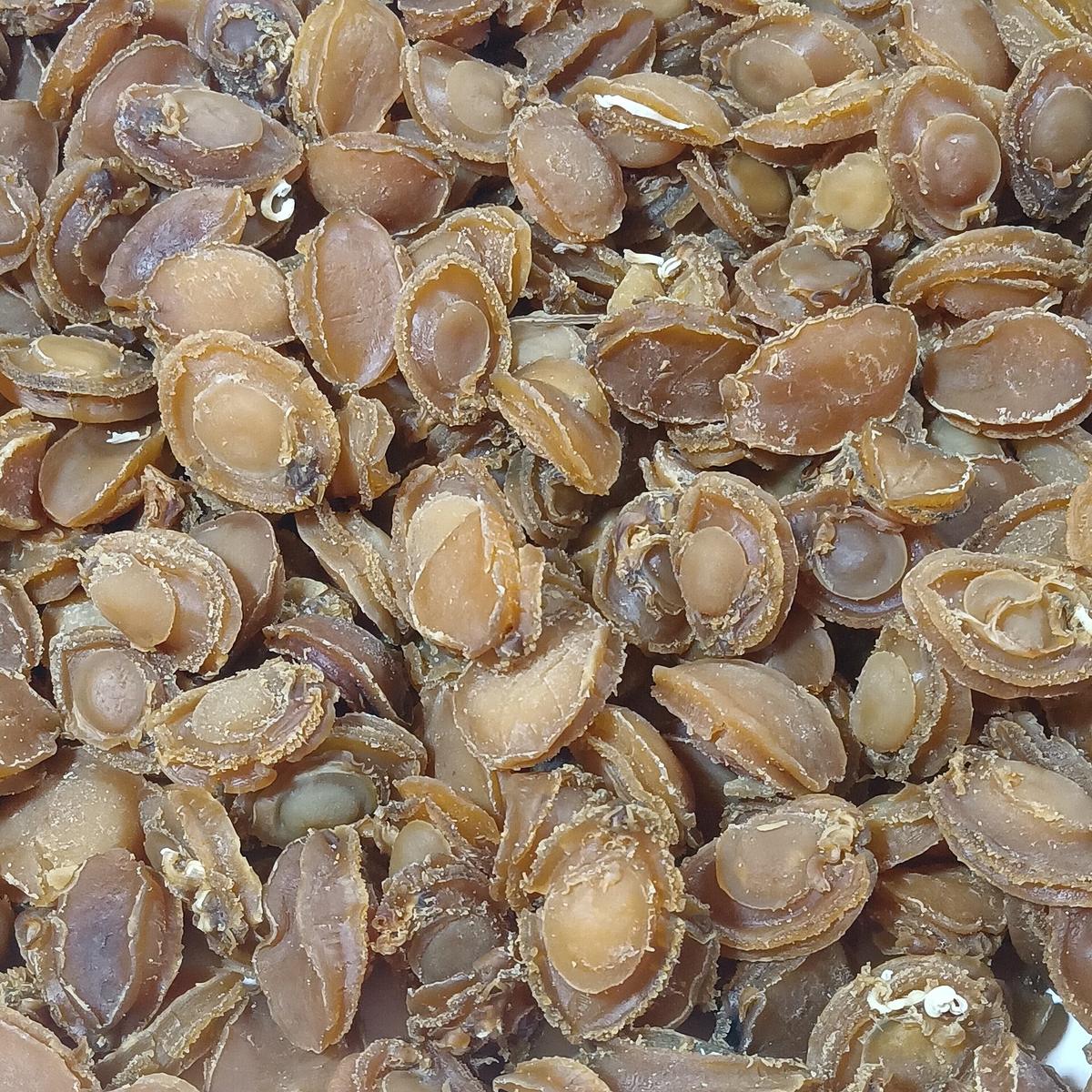 Dalian seafood market China